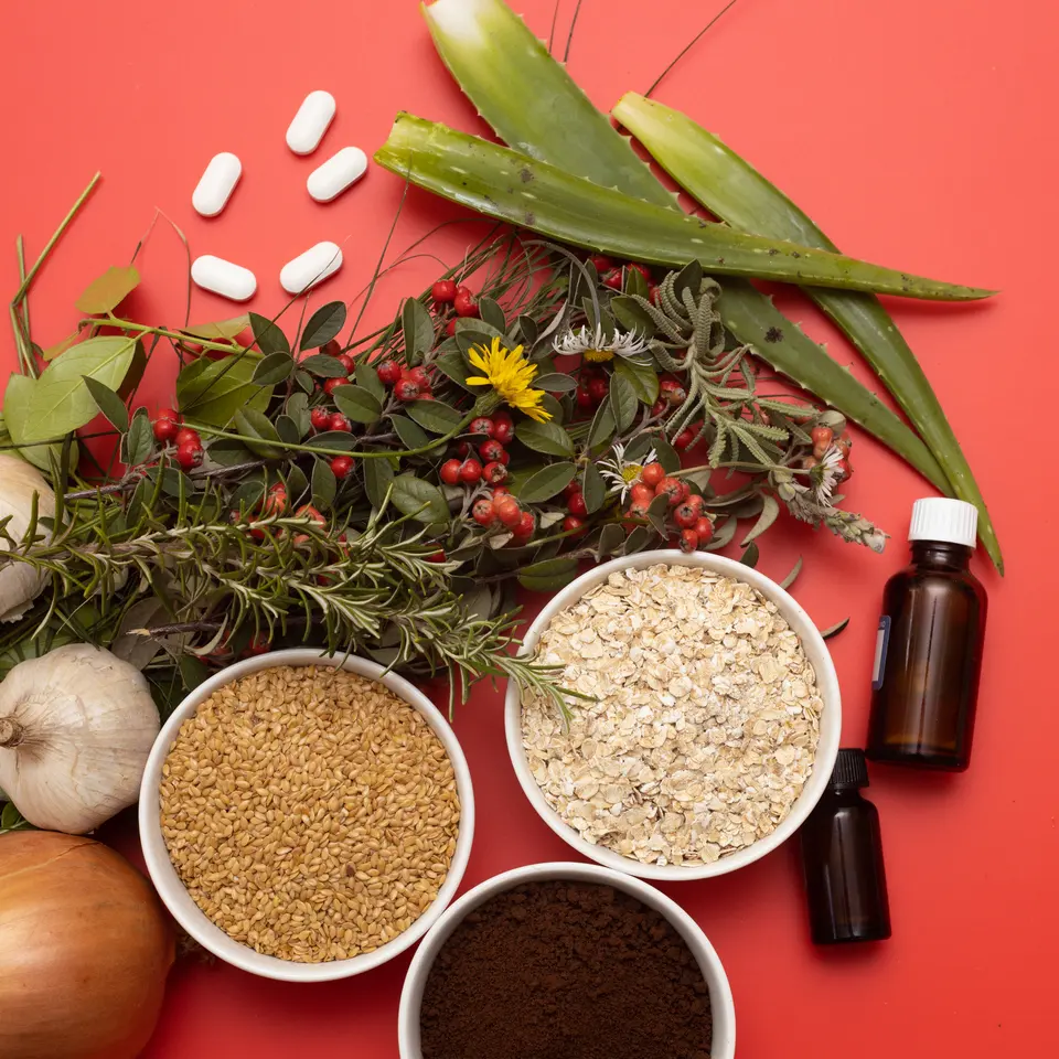 Extractos botánicos y polvos vegetales para premezclas