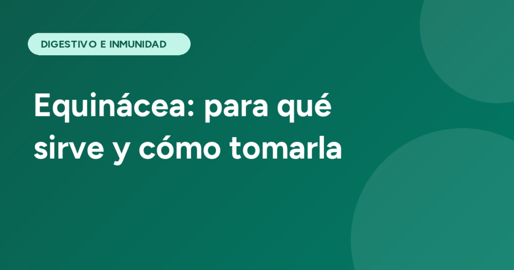Equinácea: para qué sirve y cómo tomarla